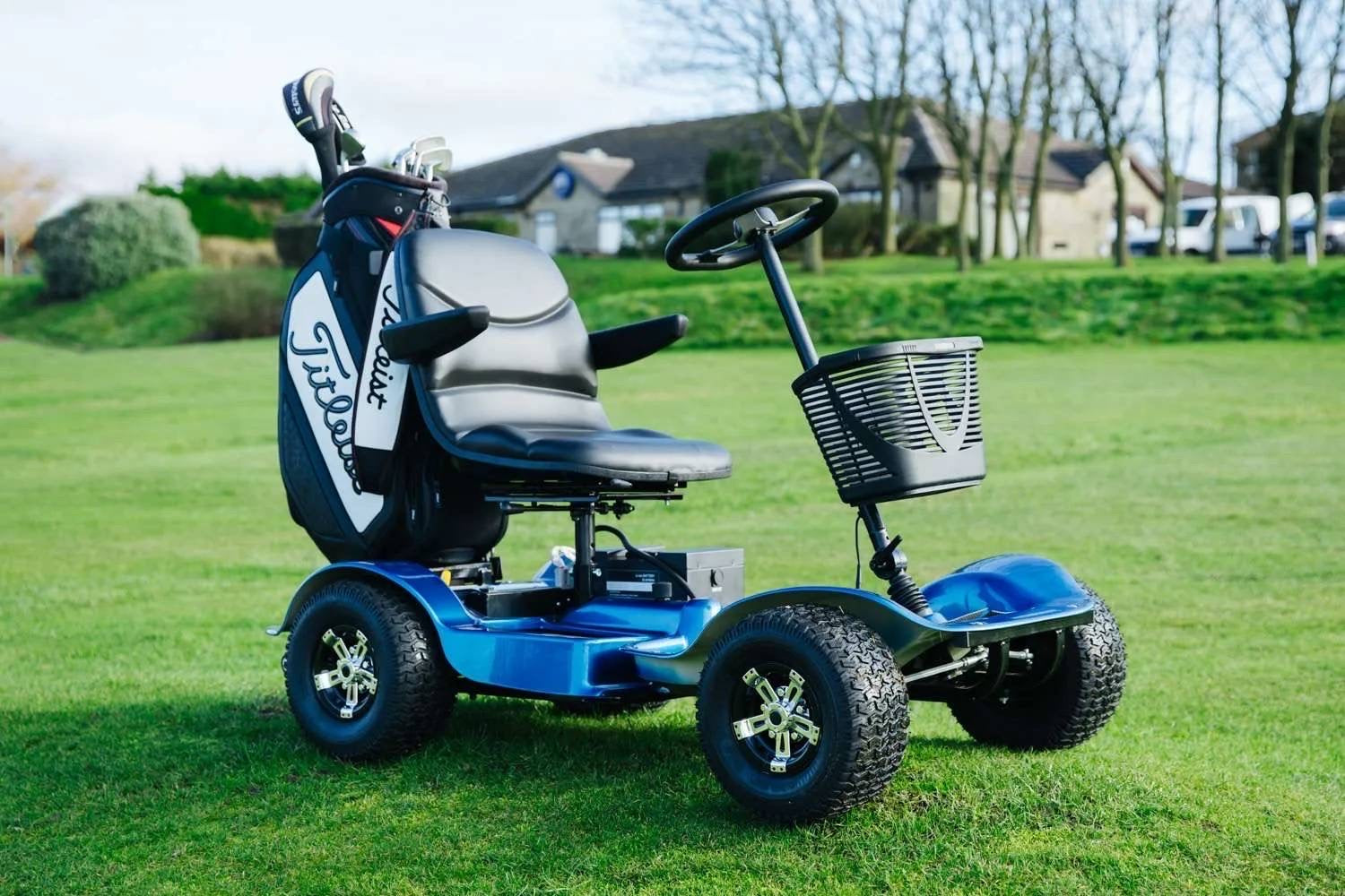 Golf buggy cost online